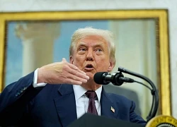 Ông Trump ra lệnh tái điều tra dân số, loại trừ người nhập cư trái phép