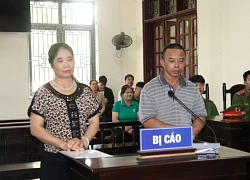 Phạt tù đôi vợ chồng sử dụng hóa chất độc hại để sản xuất giá đỗ ở Lào Cai