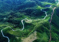 Thảo nguyên Bùi Hui thơ mộng hấp dẫn du khách ở Quảng Ngãi