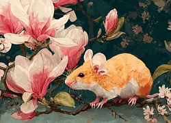 Tử vi ngày mới 7/8: 3 con giáp chỉ số may mắn cao nhất, làm gì cũng thấy hanh thông