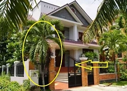 4 loại cây trồng trước nhà giúp tụ lộc, giữ vượng khí, gia chủ phất như diều gặp gió