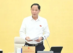 "Cần lộ trình từng bước để tiến tới cấm hoàn toàn xe xăng"