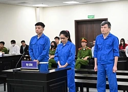Cựu vụ phó xin giảm án trong vụ 'bê bối xăng dầu' nhận hối lộ hơn 14 tỉ
