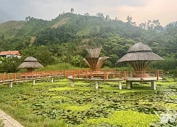 Danh thắng hang Phượng Hoàng: Điểm du lịch sinh thái hấp dẫn