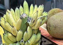 Điều gì xảy ra với cơ thể khi bạn ăn chuối vào bữa sáng mỗi ngày?