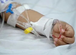 Hà Nội ghi nhận ca viêm não Nhật Bản thứ 2 trong năm, là bé gái 9 tuổi
