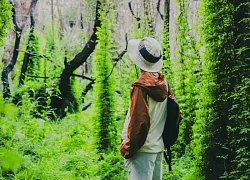 Khám phá khu rừng tràm xanh mướt ở Cam Lâm