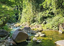 Khám phá thác Thang Đày - dải lụa giữa đại ngàn