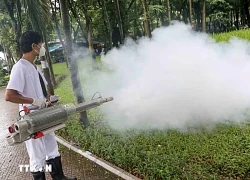 Nguy cơ bệnh Chikungunya xâm nhập, Bộ Y tế phát cảnh báo khẩn