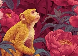 Tử vi ngày mới 11/8: 3 con giáp được quý nhân phù trợ, làm gì cũng hanh thông
