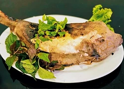 Việt Nam có loài cá nhìn như thuỷ quái, thịt ngon hơn cả gà, giá đến tiền triệu vẫn cháy hàng