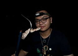 Xôn xao clip một TikToker phóng sinh bầy rắn hổ mang chúa mới nở