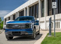 Ford tập trung đầu tư vào phân khúc xe điện giá rẻ