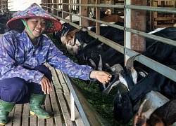 8X Đà Nẵng làm trang trại xanh, biến đất cằn thành 'mỏ vàng', kiếm bộn tiền
