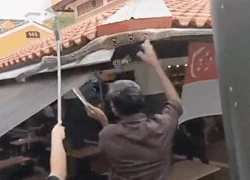 Đi uống cà phê bất ngờ gặp trăn khủng, cả quán đồng loạt hợp sức để vây bắt "vị khách không mời"