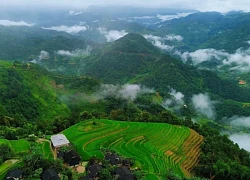 Độc đáo ruộng bậc thang Bản Phùng