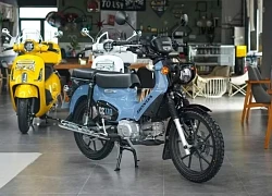 Honda Cross Cub 110 2025 ra mắt: Diện mạo mới với màu sắc trẻ trung, giữ nguyên phong cách retro