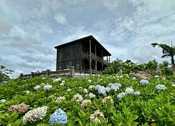 Chinh phục đỉnh Hòn Bà huyền bí