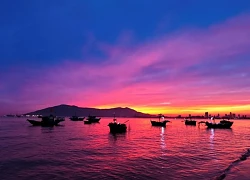Khám phá chợ hải sản lúc bình minh bên bờ biển Đà Nẵng