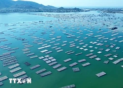 Khám phá vẻ đẹp làng bích họa Hòn Thiên bên bờ đầm Nại