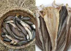 Loài cá xưa chỉ dành tiến vua, giờ thành đặc sản quý hiếm, giá vài trăm nghìn đồng/kg mà ai cũng đổ xô săn lùng