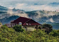 Ngắm bình minh, săn mây trên đồi Dổi ở Lâm Đồng