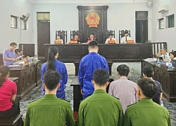 Nữ hiệu phó bị đồng nghiệp dựng nhiều "kịch bản", lừa đảo suốt 10 năm