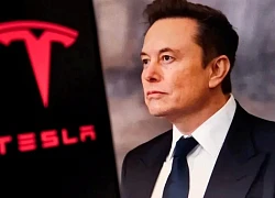 Elon Musk đánh úp thị trường năng lượng Anh, Tesla từ bán xe sang bán điện
