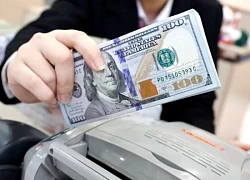 Tòa phúc thẩm Mỹ cho phép cắt giảm viện trợ nước ngoài