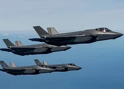 Tổng thống Trump chịu sức ép khi nhiều đồng minh dọa quay lưng với F-35