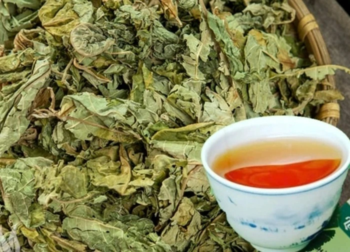 Việt Nam có loại lá phơi khô, đem đun nước uống rất lợi cho gan