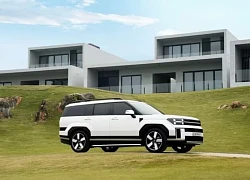 Hyundai bán 3.601 xe trong tháng 7/2025, Tucson dẫn đầu doanh số