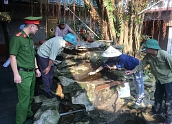 Hà Nội xử lý các ổ dịch sốt xuất huyết