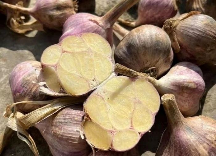 Loại gia vị ở góc bếp hỗ trợ hạ huyết áp, giảm mỡ máu