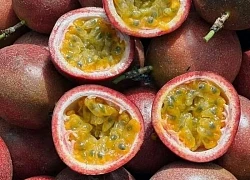 Loại quả được đánh giá 'tốt nhất thế giới', ở Việt Nam trồng bạt ngàn