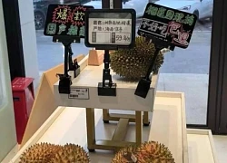 Trung Quốc tự trồng sầu riêng, gây bất ngờ về giá bán