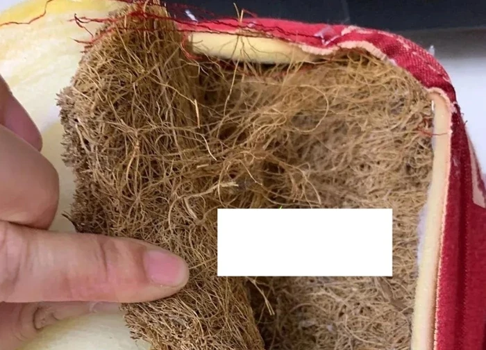 Nhà có 5 thứ này như treo "lưỡi hái tử thần" trên đầu, tiền bạc - sức khỏe cùng nhau rơi tự do