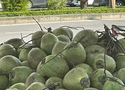 Nước dừa là 'siêu đồ uống' nhưng 5 nhóm người nên tránh