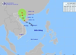 Tin mới về áp thấp nhiệt đới: Tiến vào Quảng Ninh, Lạng Sơn, nhiều nơi mưa lớn