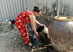TP Hồ Chí Minh kiểm soát bệnh Chikungunya tại các cửa khẩu