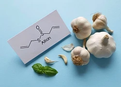 Cách dùng tỏi để có hoạt chất kháng sinh tự nhiên Allicin