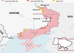 Vì sao Donbass trở thành ranh giới quyết định trong đàm phán Nga - Ukraine?