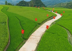 Đường cờ Tổ quốc uốn theo ruộng bậc thang hút khách