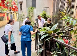 Hà Nội yêu cầu siết chặt phòng, chống bệnh Chikungunya
