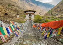 Hạnh phúc xanh trên dãy Himalaya