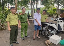 Khởi tố 3 đối tượng mua bán cá thể tê tê nguy cấp