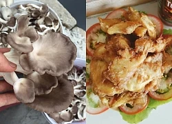 Loại nấm được ví như "hải sản của đất", vừa rẻ lại bổ dưỡng, cực sẵn ở chợ Việt