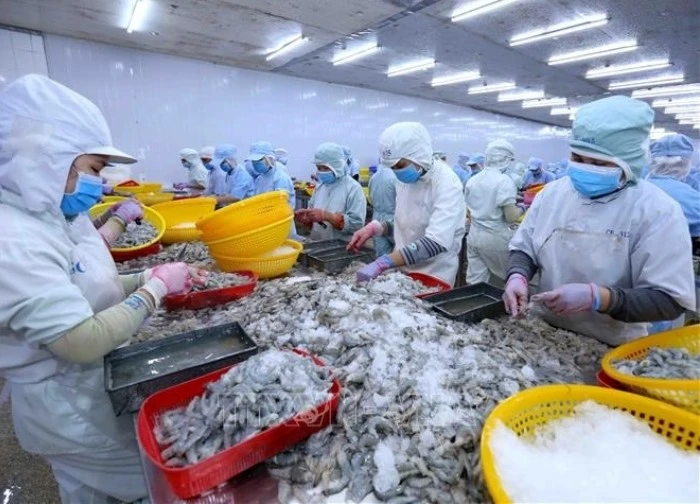 Mỹ thu hồi tôm đông lạnh nhập khẩu vì lo ngại nhiễm phóng xạ