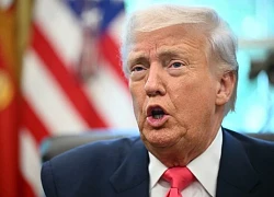 Trước thềm thượng đỉnh với Ukraine, ông Trump nói biết mình làm gì, không cần lời khuyên