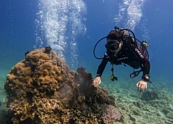 Du khách phải trả phí tham quan vịnh Nha Trang từ 25/8